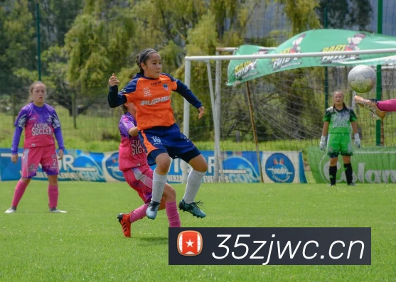 星空网官网首页入口发展历程